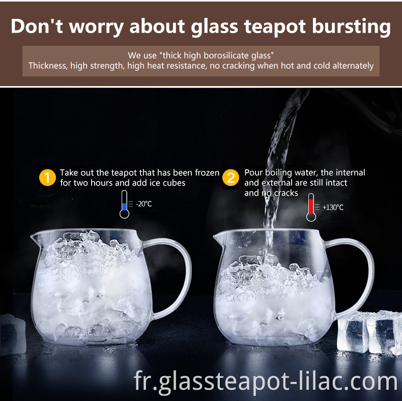 Borosilicate Tea Pot 2